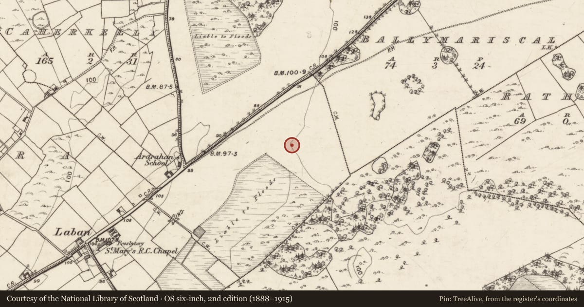 Ordnance Survey six-inch map, 2nd edition (1888–1915) covering the location of Ringfort - rath, Caherkelly, County Galway, with a pin at the register's coordinates
