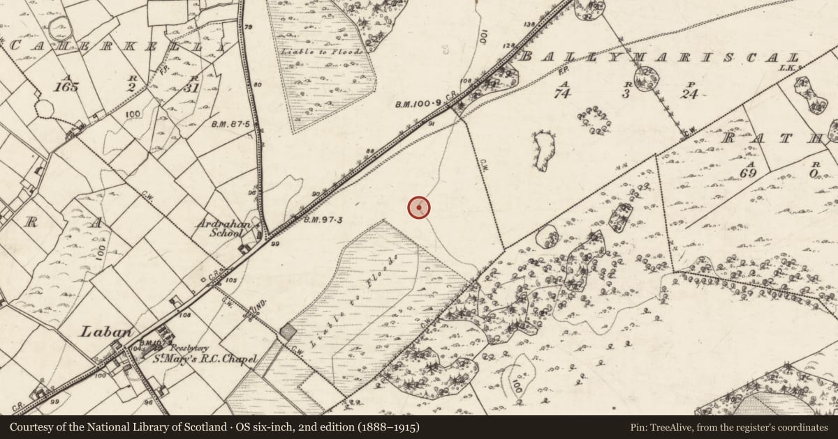 Ordnance Survey six-inch map, 2nd edition (1888–1915) covering the location of Souterrain, Caherkelly, County Galway, with a pin at the register's coordinates