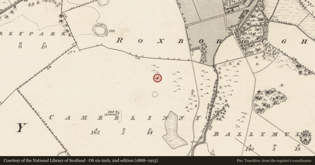 Ordnance Survey six-inch map, 2nd edition (1888–1915) covering the location of Ringfort - rath, Caherlinny, County Galway, with a pin at the register's coordinates