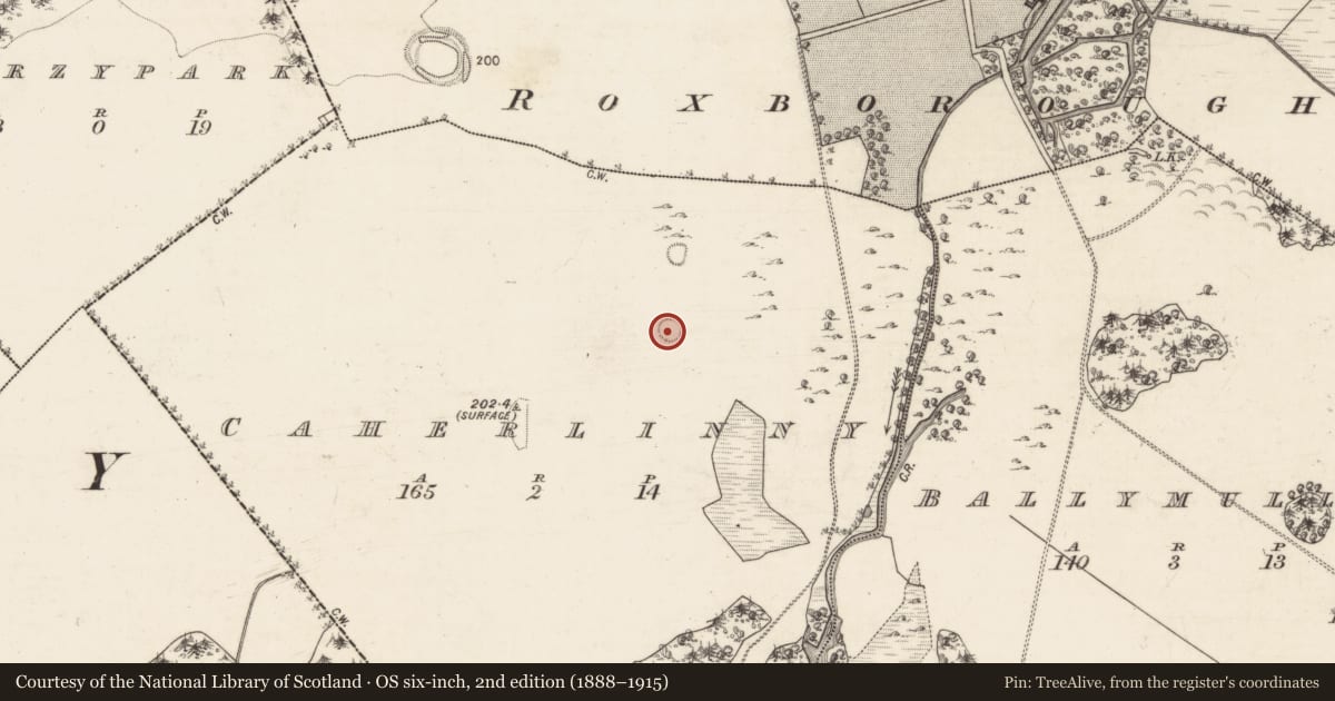 Ordnance Survey six-inch map, 2nd edition (1888–1915) covering the location of Ringfort - rath, Caherlinny, County Galway, with a pin at the register's coordinates