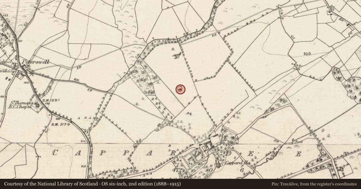 Ordnance Survey six-inch map, 2nd edition (1888–1915) covering the location of Designed landscape - tree-ring, Cappard Demesne, County Galway, with a pin at the register's coordinates