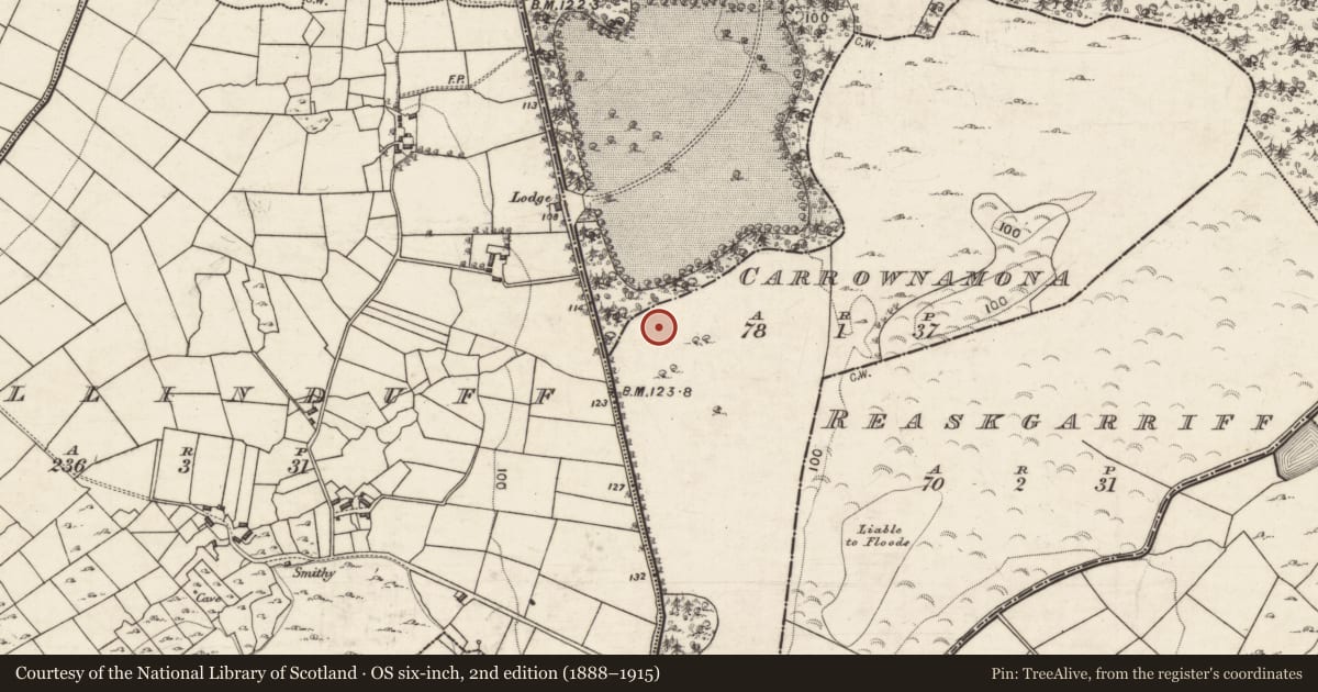 Ordnance Survey six-inch map, 2nd edition (1888–1915) covering the location of Ringfort - unclassified, Carrownamona, County Galway, with a pin at the register's coordinates