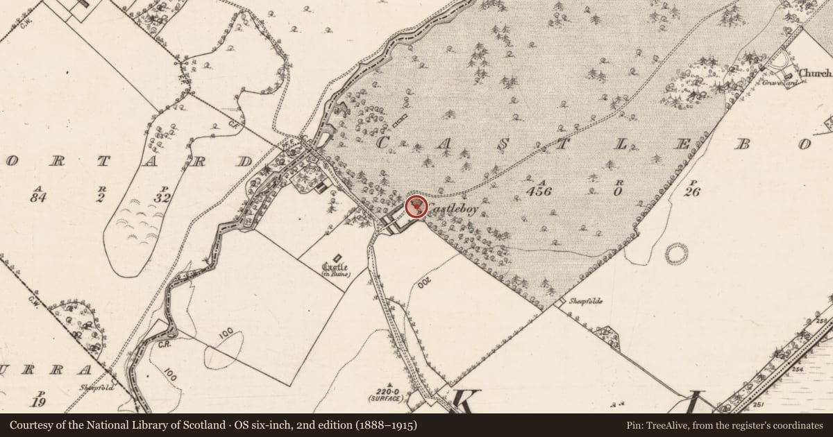 Ordnance Survey six-inch map, 2nd edition (1888–1915) covering the location of Designed landscape - folly, Castleboy, County Galway, with a pin at the register's coordinates