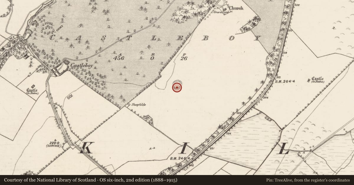 Ordnance Survey six-inch map, 2nd edition (1888–1915) covering the location of Ringfort - rath, Castleboy, County Galway, with a pin at the register's coordinates