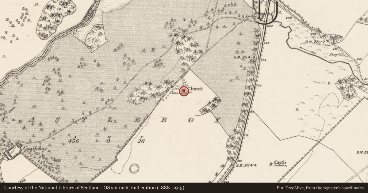Ordnance Survey six-inch map, 2nd edition (1888–1915) covering the location of Church, Castleboy, County Galway, with a pin at the register's coordinates