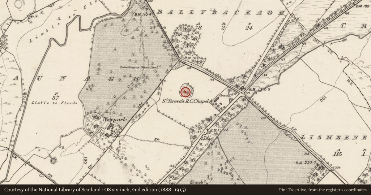Ordnance Survey six-inch map, 2nd edition (1888–1915) covering the location of Ringfort - rath, Castledaly, County Galway, with a pin at the register's coordinates