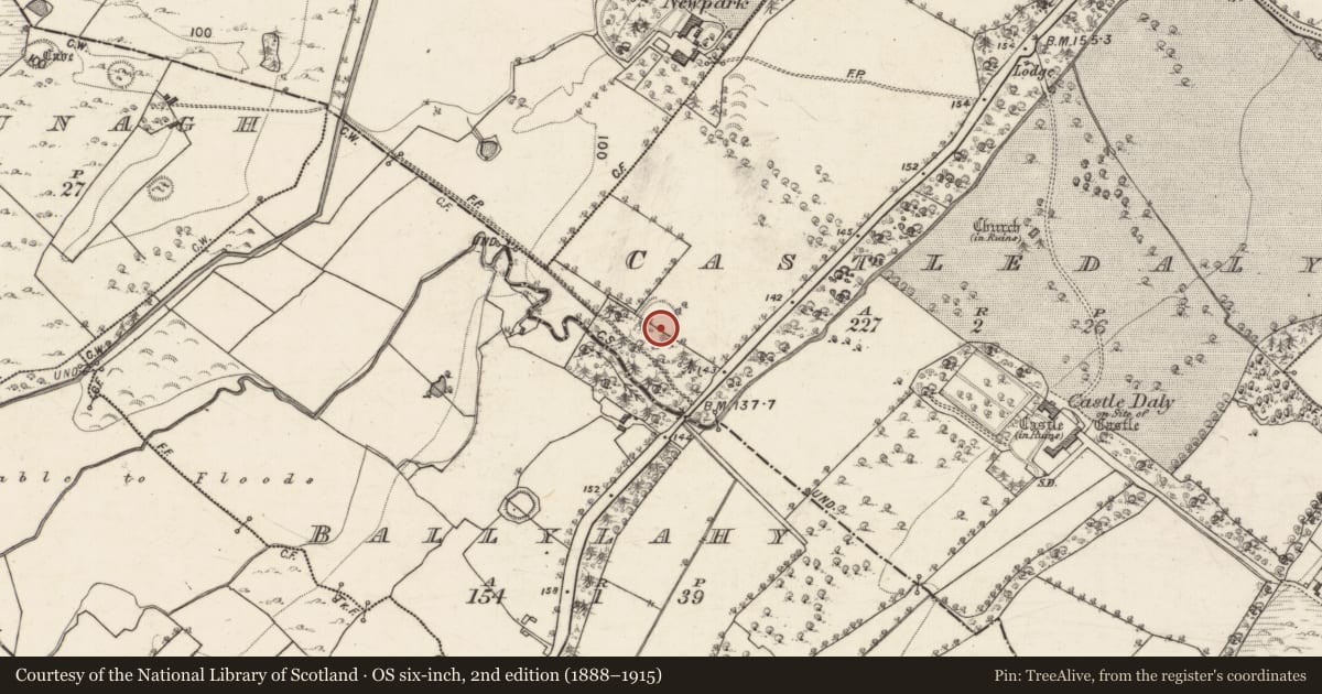 Ordnance Survey six-inch map, 2nd edition (1888–1915) covering the location of Enclosure, Castledaly, County Galway, with a pin at the register's coordinates