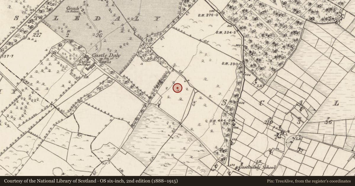 Ordnance Survey six-inch map, 2nd edition (1888–1915) covering the location of Ringfort - rath, Castledaly, County Galway, with a pin at the register's coordinates