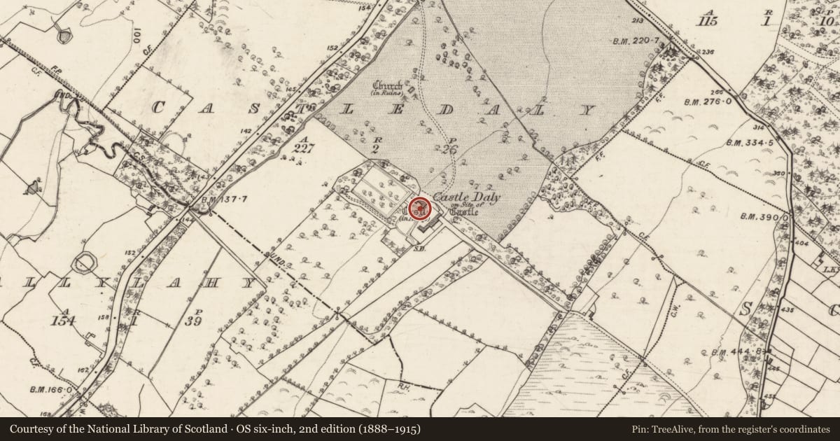 Ordnance Survey six-inch map, 2nd edition (1888–1915) covering the location of Castle - tower house, Castledaly, County Galway, with a pin at the register's coordinates