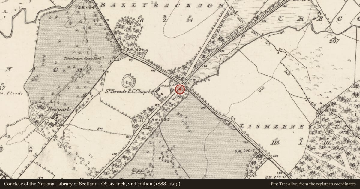 Ordnance Survey six-inch map, 2nd edition (1888–1915) covering the location of Chapel, Castledaly, County Galway, with a pin at the register's coordinates