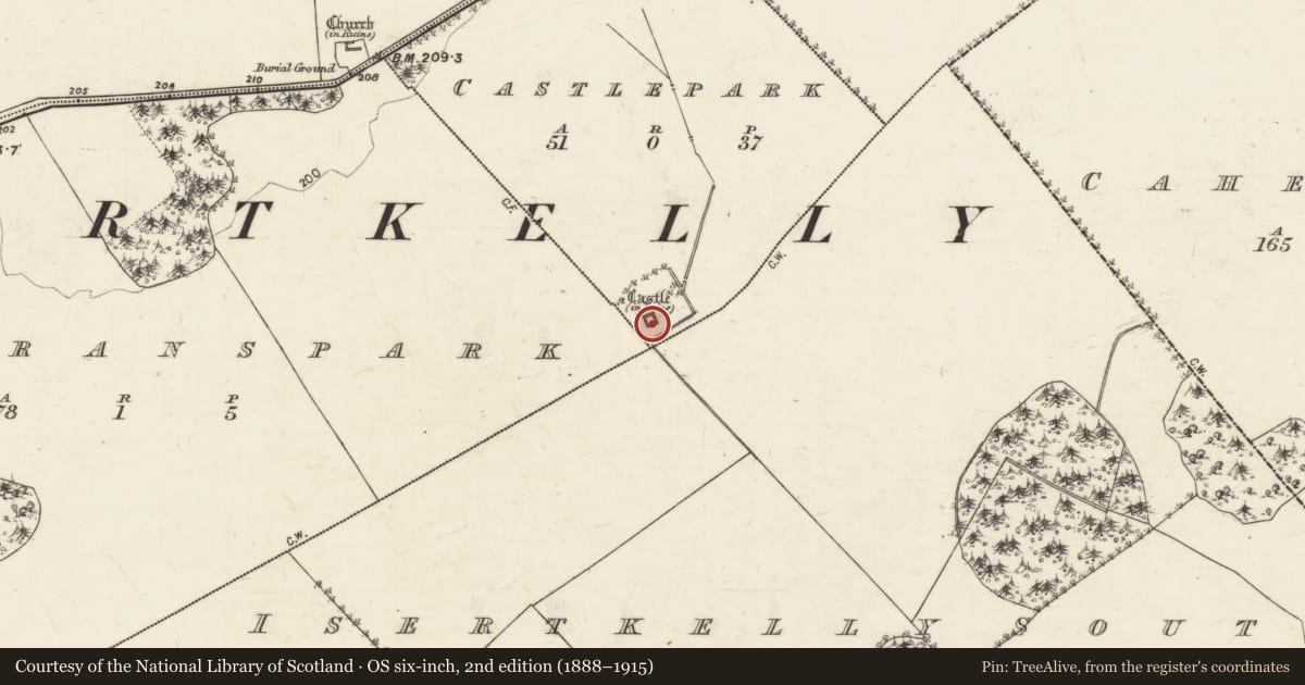 Ordnance Survey six-inch map, 2nd edition (1888–1915) covering the location of Castle - tower house, Castlepark, County Galway, with a pin at the register's coordinates