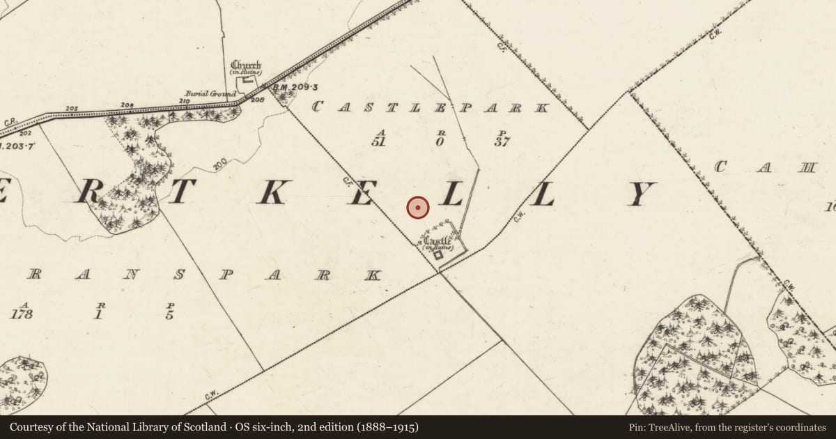 Ordnance Survey six-inch map, 2nd edition (1888–1915) covering the location of Enclosure, Castlepark, County Galway, with a pin at the register's coordinates