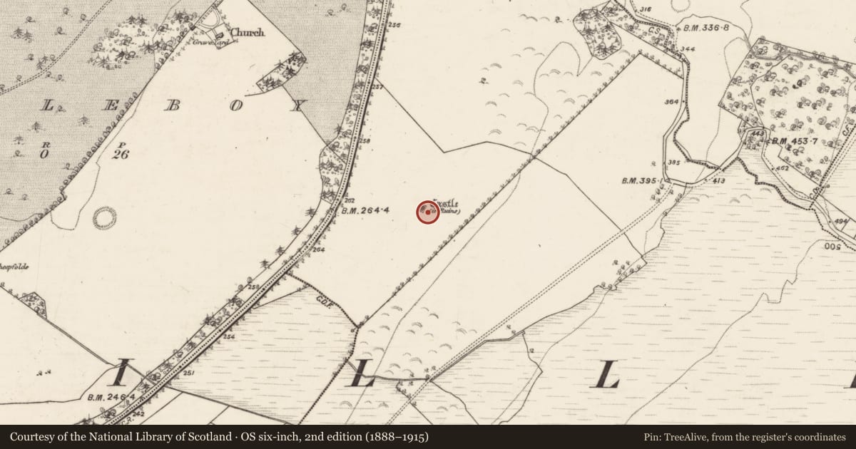 Ordnance Survey six-inch map, 2nd edition (1888–1915) covering the location of Bawn, Cloghaun, County Galway, with a pin at the register's coordinates