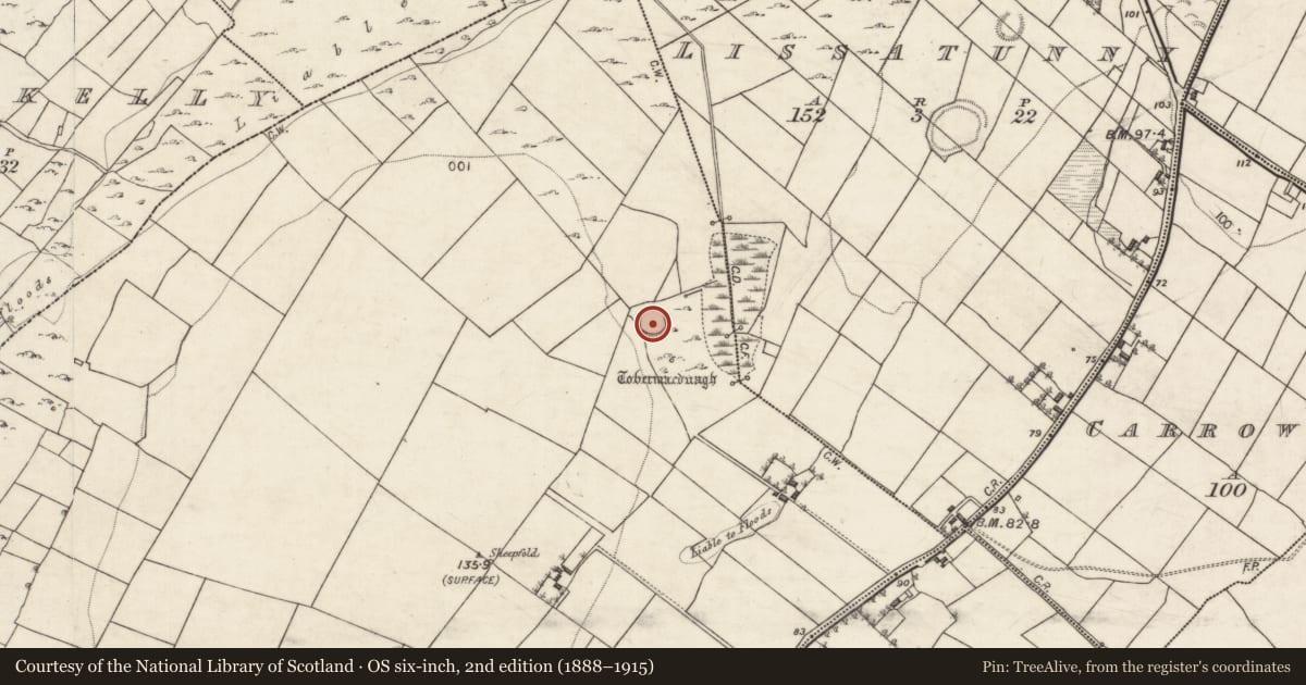 Ordnance Survey six-inch map, 2nd edition (1888–1915) covering the location of Ringfort - rath, Corker, County Galway, with a pin at the register's coordinates