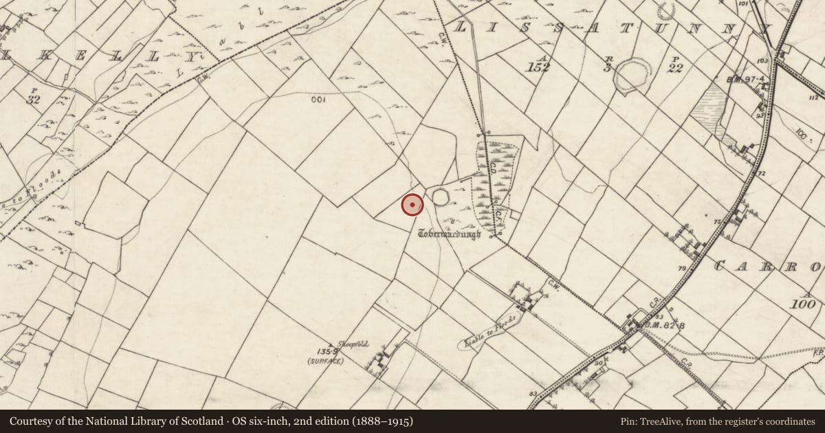 Ordnance Survey six-inch map, 2nd edition (1888–1915) covering the location of Church, Corker, County Galway, with a pin at the register's coordinates