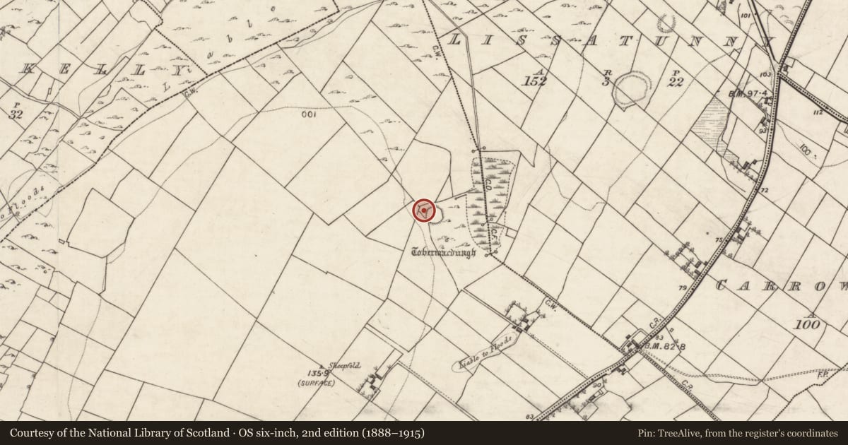 Ordnance Survey six-inch map, 2nd edition (1888–1915) covering the location of House - indeterminate date, Corker, County Galway, with a pin at the register's coordinates