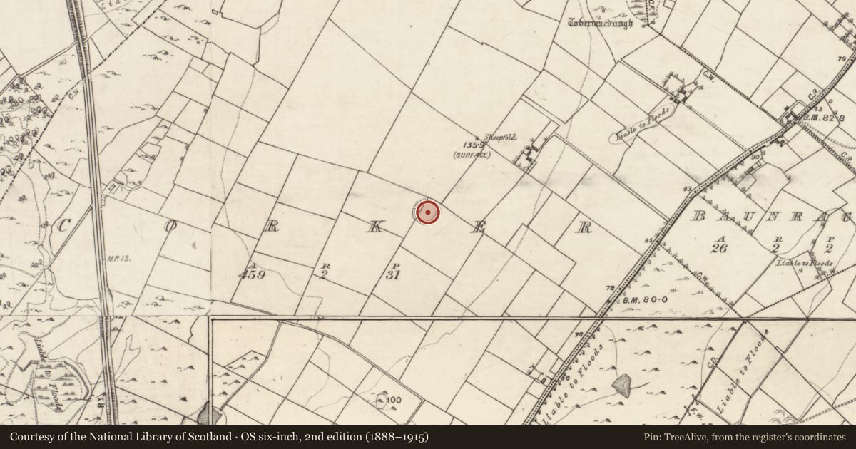 Ordnance Survey six-inch map, 2nd edition (1888–1915) covering the location of Ringfort - rath, Corker, County Galway, with a pin at the register's coordinates