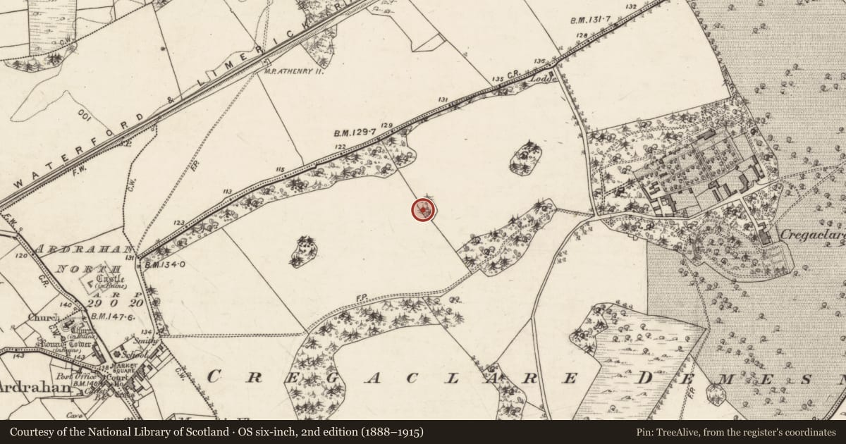 Ordnance Survey six-inch map, 2nd edition (1888–1915) covering the location of Enclosure, Cregaclare Demesne, County Galway, with a pin at the register's coordinates