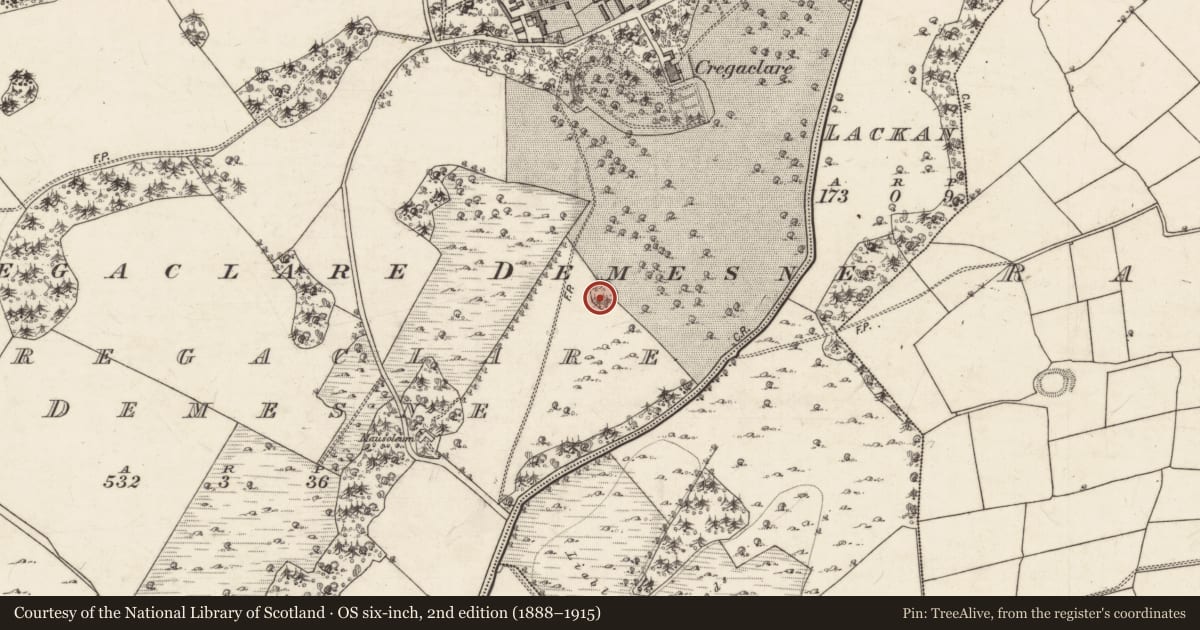 Ordnance Survey six-inch map, 2nd edition (1888–1915) covering the location of Ringfort - cashel, Cregaclare Demesne, County Galway, with a pin at the register's coordinates