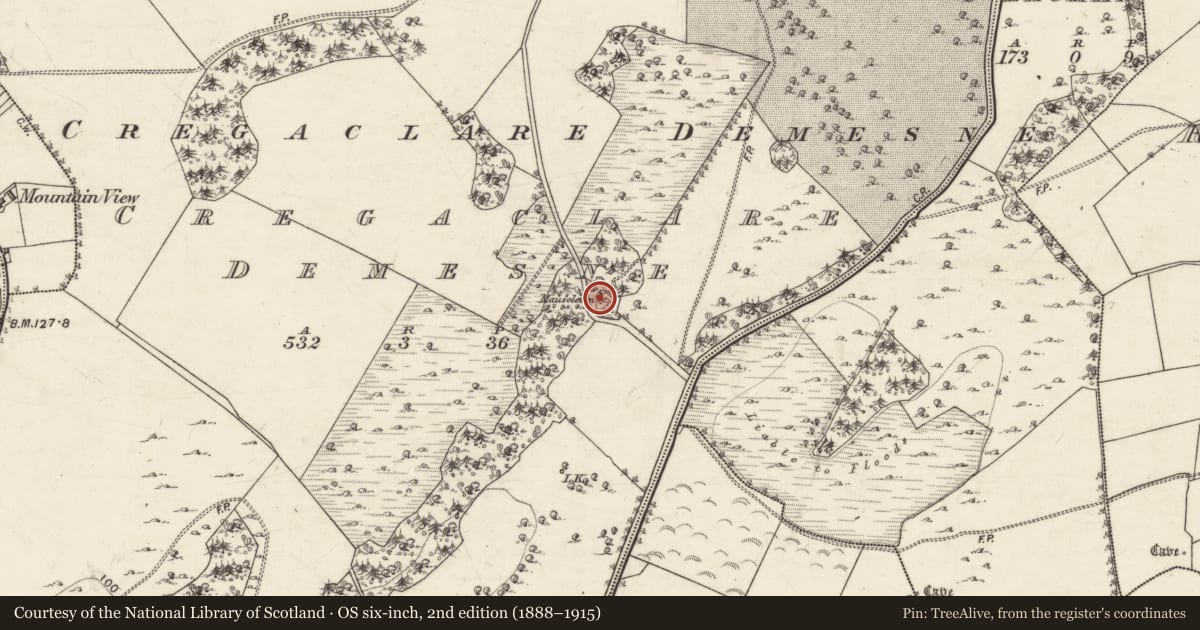 Ordnance Survey six-inch map, 2nd edition (1888–1915) covering the location of Church, Cregaclare Demesne, County Galway, with a pin at the register's coordinates
