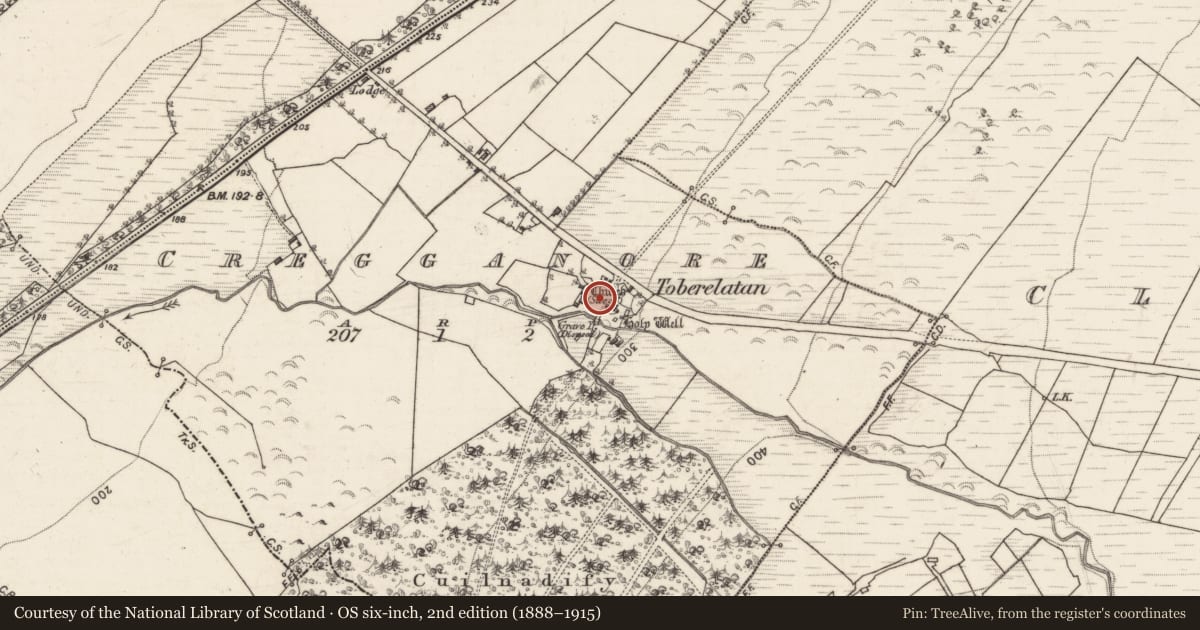 Ordnance Survey six-inch map, 2nd edition (1888–1915) covering the location of Church, Cregganore, County Galway, with a pin at the register's coordinates