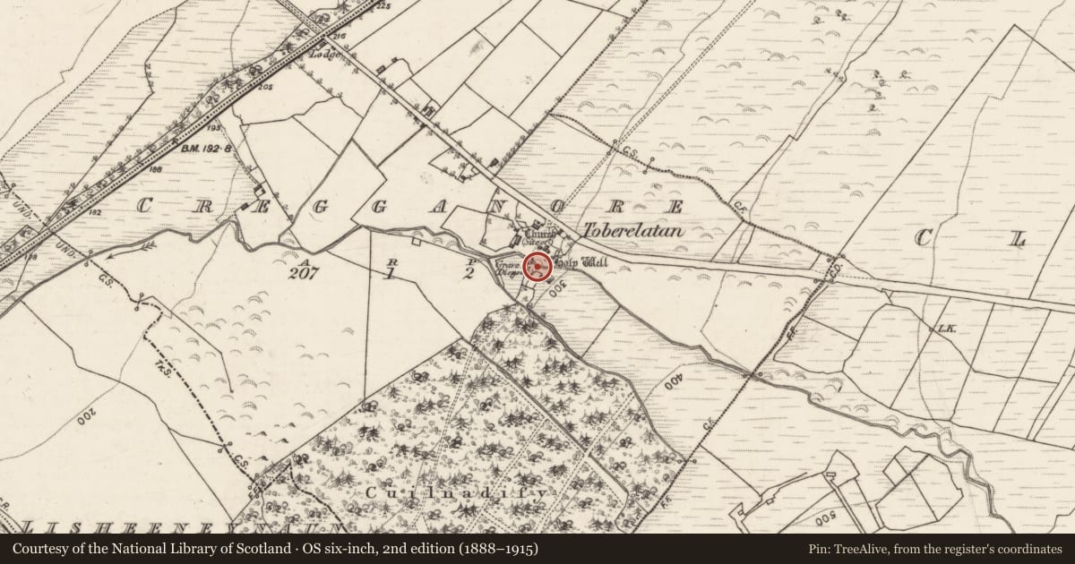 Ordnance Survey six-inch map, 2nd edition (1888–1915) covering the location of Children's burial ground, Cregganore, County Galway, with a pin at the register's coordinates