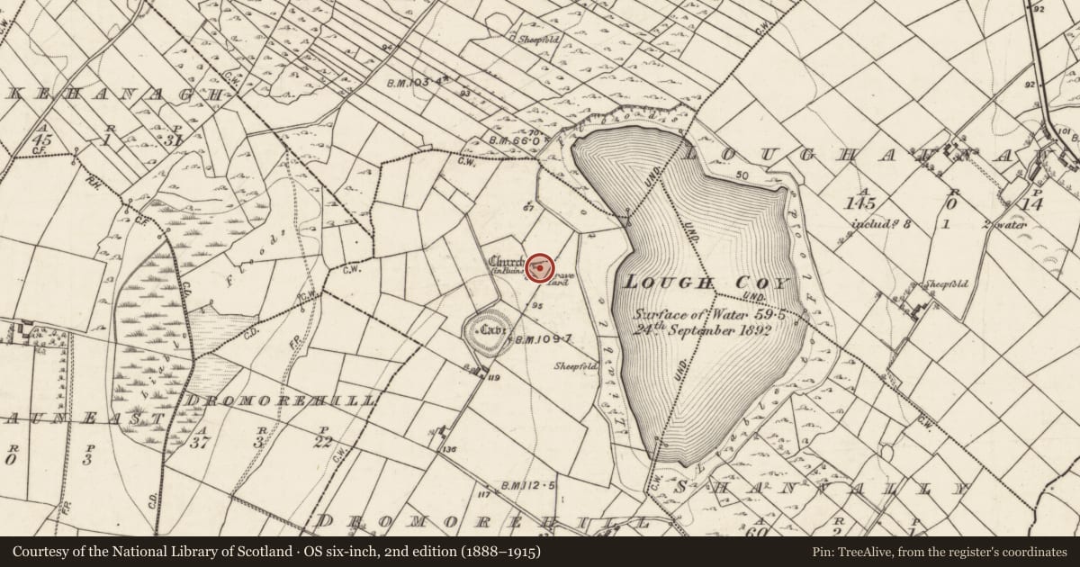Ordnance Survey six-inch map, 2nd edition (1888–1915) covering the location of Children's burial ground, Dromorehill, County Galway, with a pin at the register's coordinates