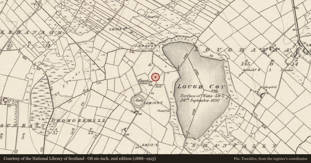 Ordnance Survey six-inch map, 2nd edition (1888–1915) covering the location of Well, Dromorehill, County Galway, with a pin at the register's coordinates