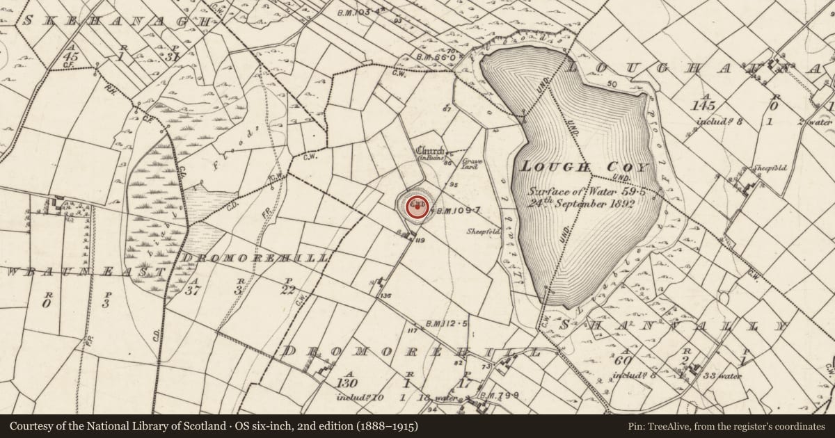 Ordnance Survey six-inch map, 2nd edition (1888–1915) covering the location of Ringfort - rath, Dromorehill, County Galway, with a pin at the register's coordinates