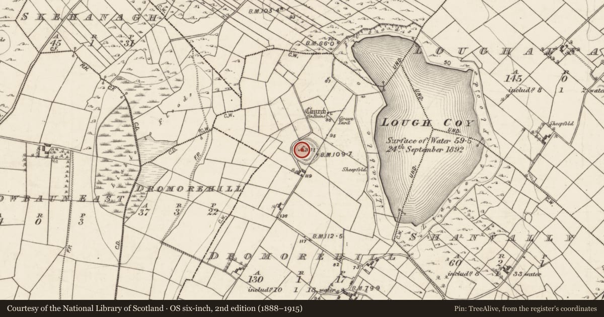 Ordnance Survey six-inch map, 2nd edition (1888–1915) covering the location of Souterrain, Dromorehill, County Galway, with a pin at the register's coordinates