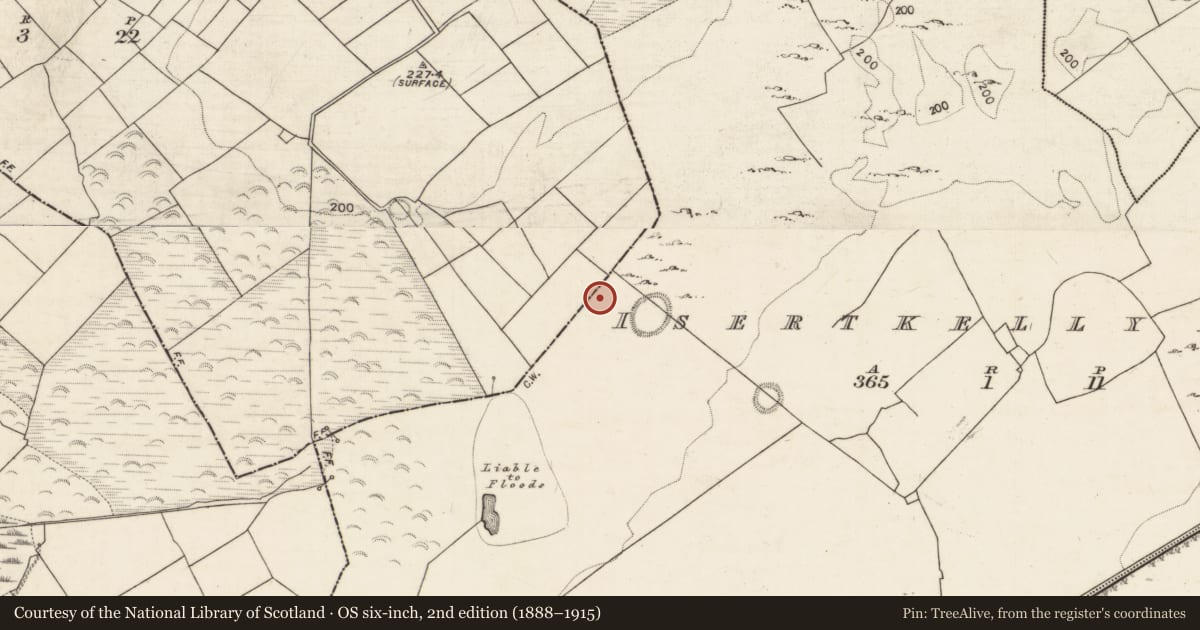 Ordnance Survey six-inch map, 2nd edition (1888–1915) covering the location of Ringfort - rath, Fiddaun, Isertkelly North, County Galway, with a pin at the register's coordinates