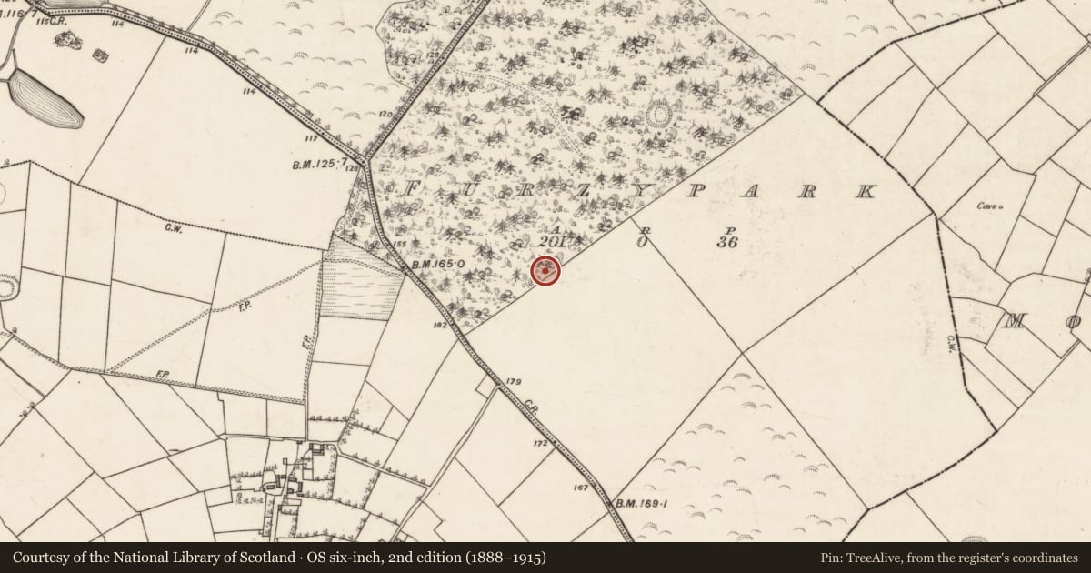 Ordnance Survey six-inch map, 2nd edition (1888–1915) covering the location of Souterrain, Furzypark, County Galway, with a pin at the register's coordinates
