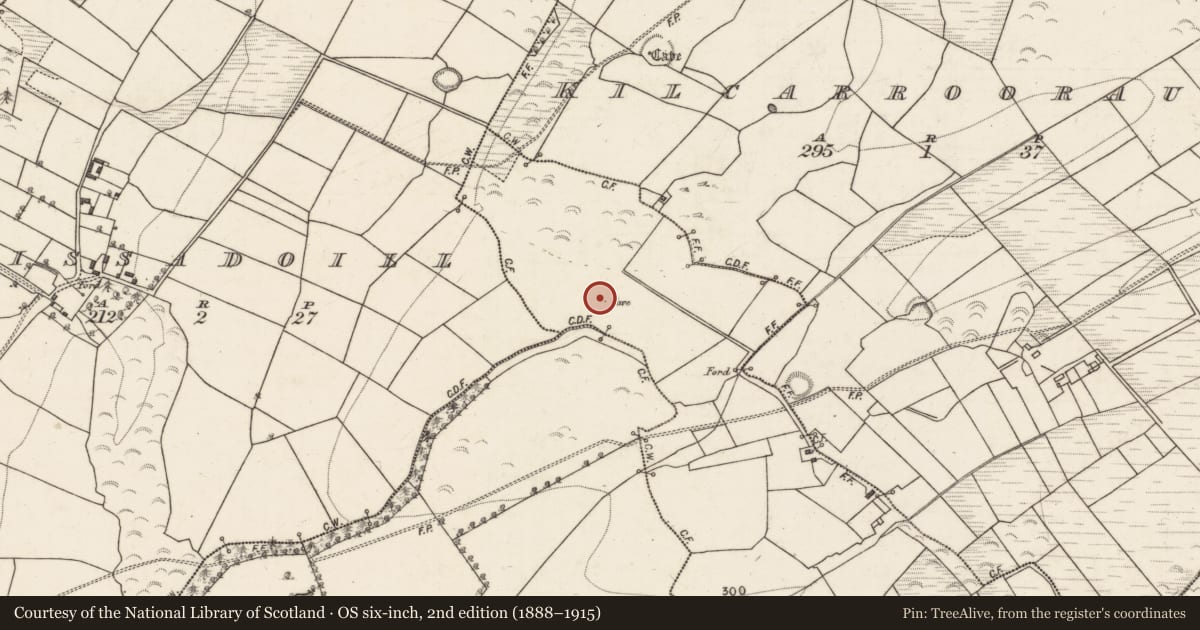 Ordnance Survey six-inch map, 2nd edition (1888–1915) covering the location of Souterrain, Gorteenaniska, County Galway, with a pin at the register's coordinates