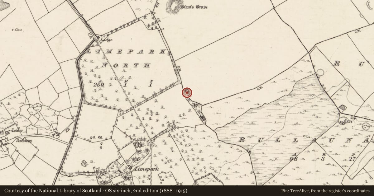 Ordnance Survey six-inch map, 2nd edition (1888–1915) covering the location of Ringfort - cashel, Grannagh, Limepark North, County Galway, with a pin at the register's coordinates