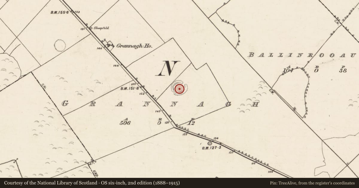 Ordnance Survey six-inch map, 2nd edition (1888–1915) covering the location of Ringfort - rath, Grannagh, County Galway, with a pin at the register's coordinates