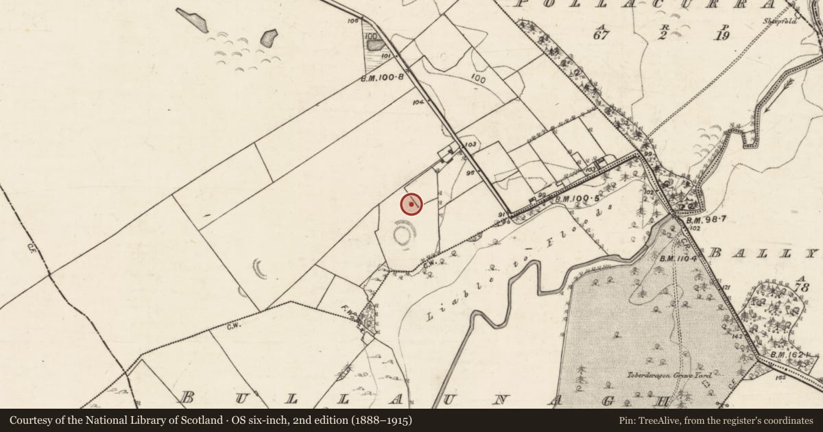 Ordnance Survey six-inch map, 2nd edition (1888–1915) covering the location of Barrow - ring-barrow, Grannagh, County Galway, with a pin at the register's coordinates