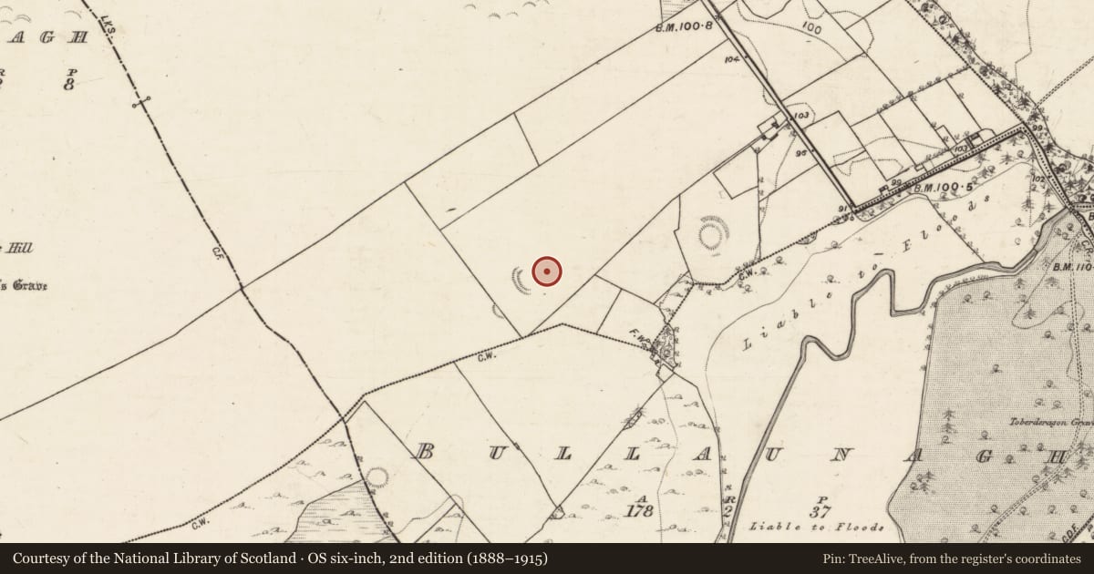 Ordnance Survey six-inch map, 2nd edition (1888–1915) covering the location of Ringfort - rath, Grannagh, County Galway, with a pin at the register's coordinates