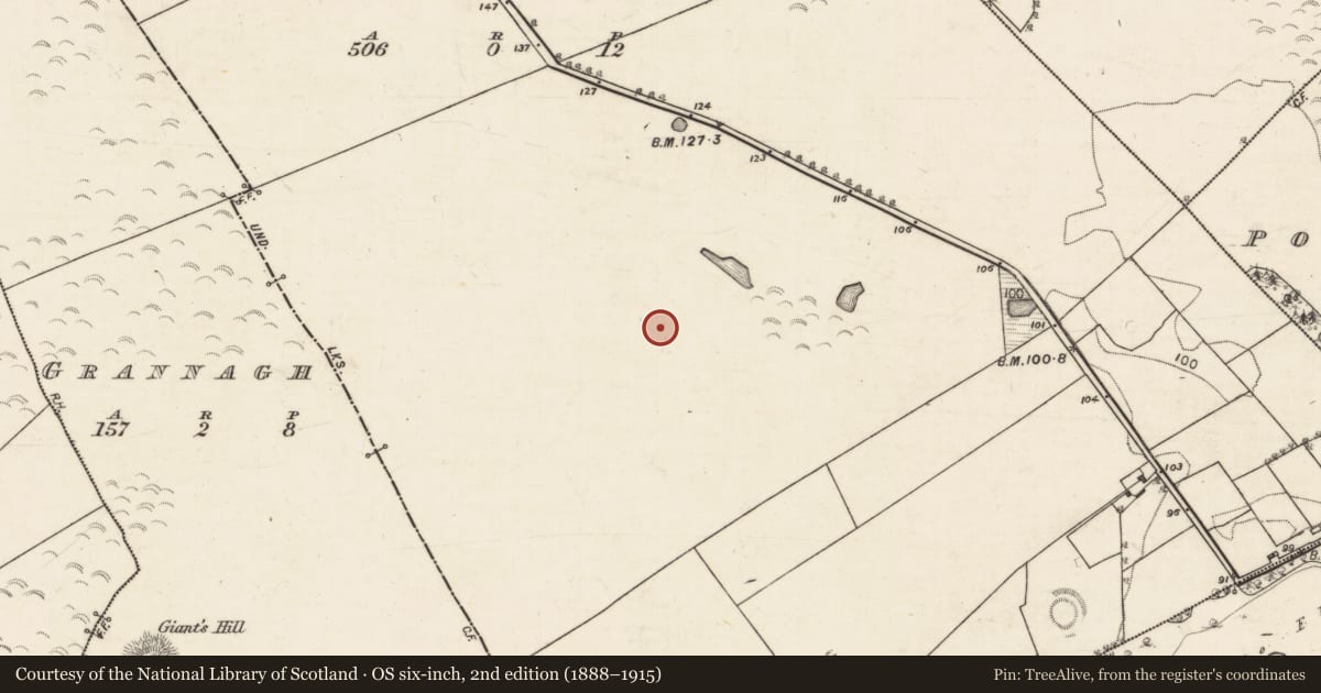 Ordnance Survey six-inch map, 2nd edition (1888–1915) covering the location of Mound, Grannagh, County Galway, with a pin at the register's coordinates