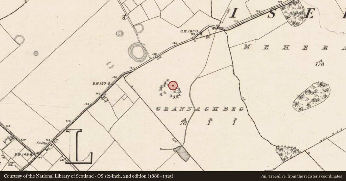 Ordnance Survey six-inch map, 2nd edition (1888–1915) covering the location of Designed landscape feature, Grannagh Beg, County Galway, with a pin at the register's coordinates