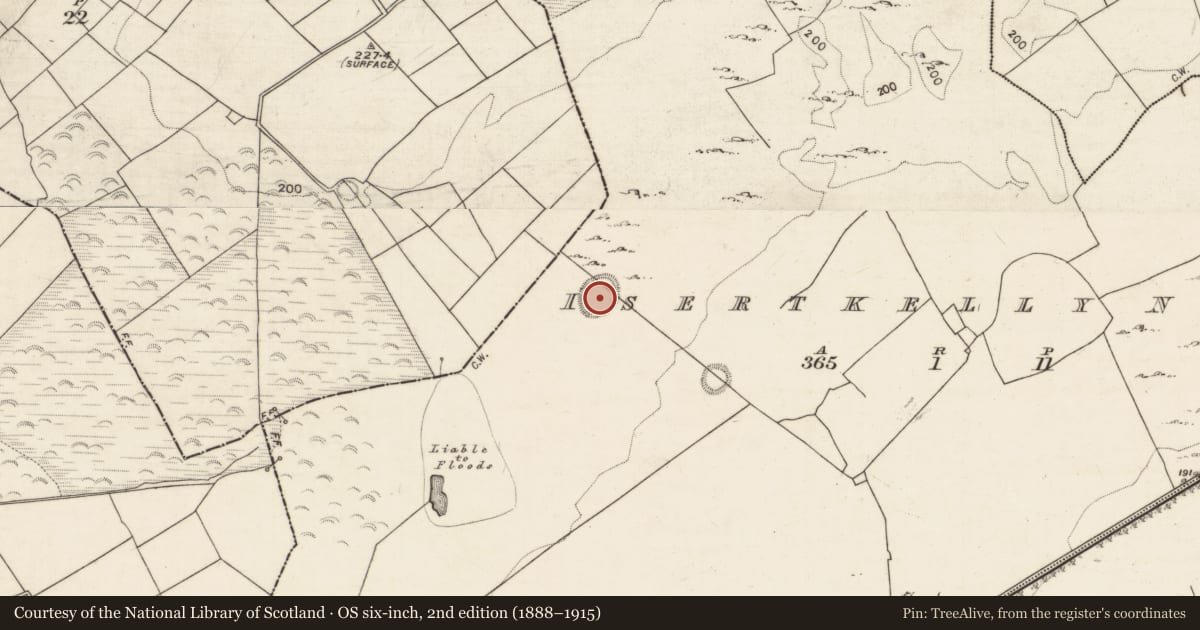 Ordnance Survey six-inch map, 2nd edition (1888–1915) covering the location of Ringfort - rath, Isertkelly North, County Galway, with a pin at the register's coordinates