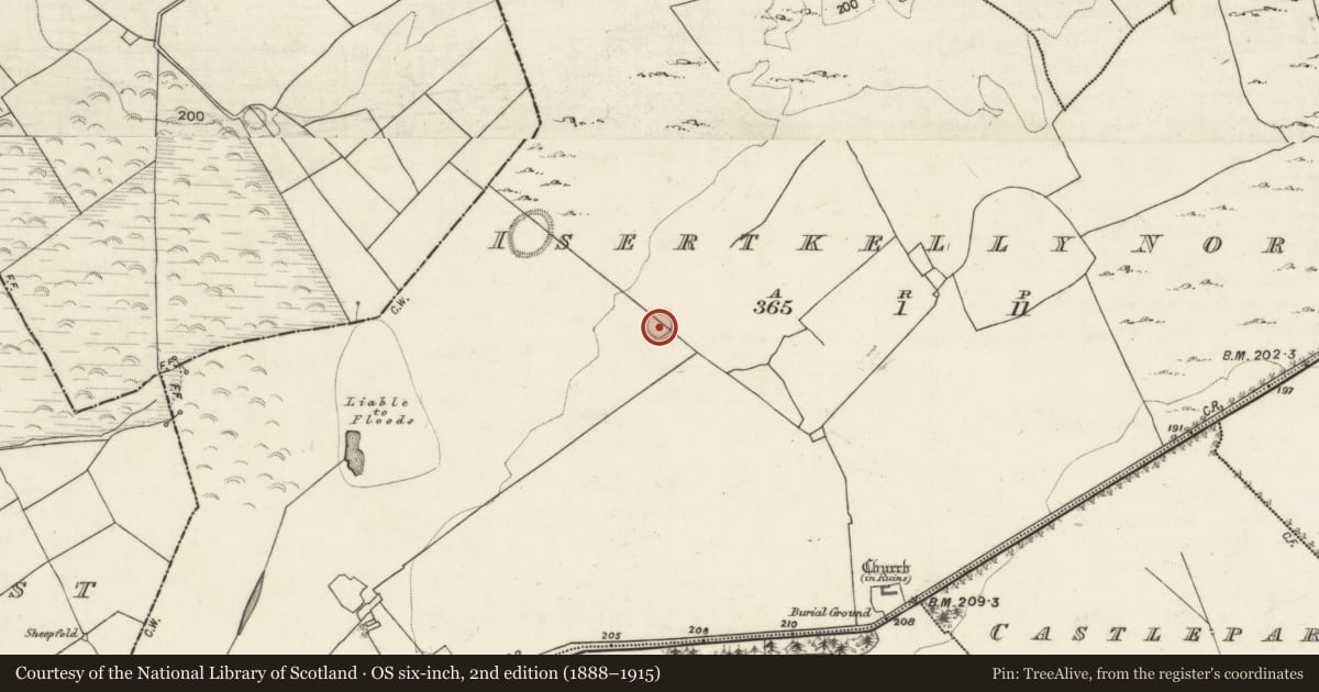 Ordnance Survey six-inch map, 2nd edition (1888–1915) covering the location of Ringfort - rath, Isertkelly North, County Galway, with a pin at the register's coordinates