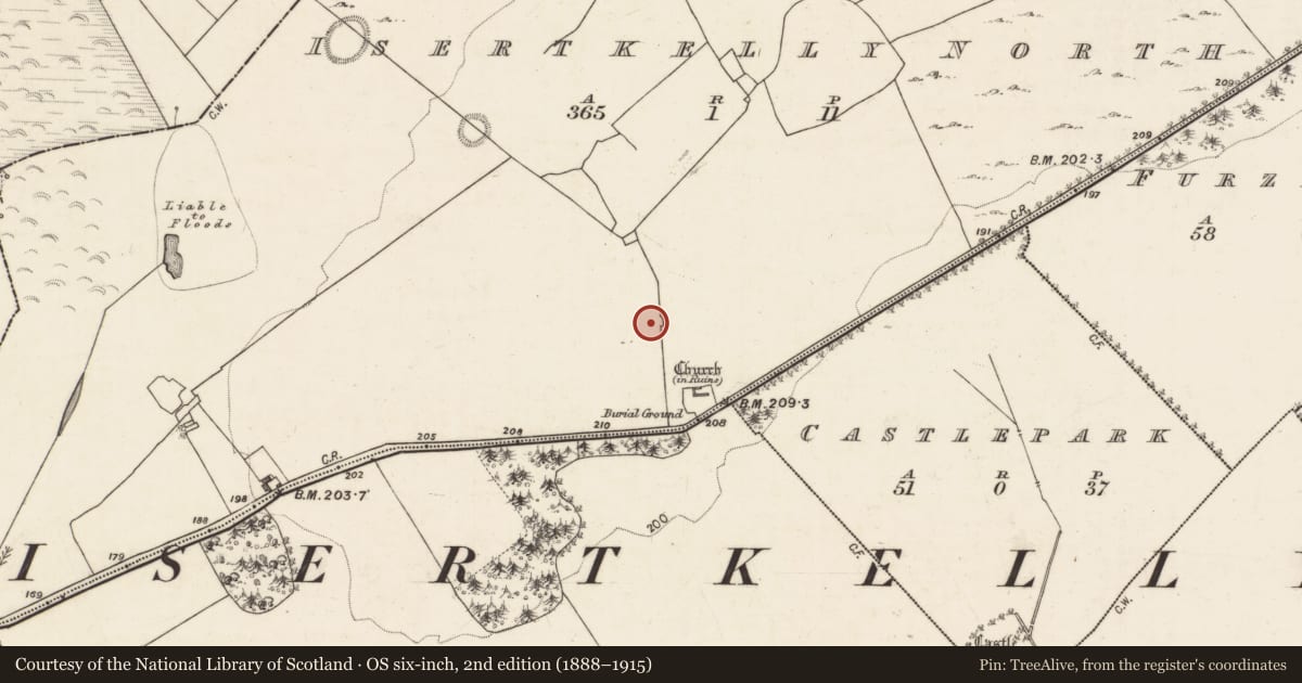 Ordnance Survey six-inch map, 2nd edition (1888–1915) covering the location of Settlement deserted - medieval, Isertkelly North, County Galway, with a pin at the register's coordinates