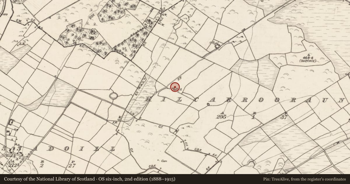 Ordnance Survey six-inch map, 2nd edition (1888–1915) covering the location of Ringfort - rath, Kilcarrooraun, County Galway, with a pin at the register's coordinates