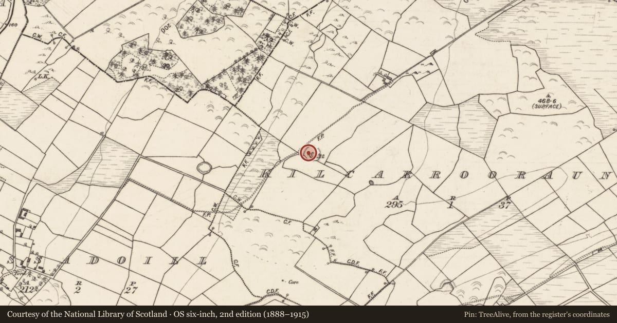 Ordnance Survey six-inch map, 2nd edition (1888–1915) covering the location of Souterrain, Kilcarrooraun, County Galway, with a pin at the register's coordinates