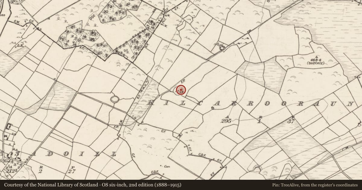Ordnance Survey six-inch map, 2nd edition (1888–1915) covering the location of Standing stone, Kilcarrooraun, County Galway, with a pin at the register's coordinates