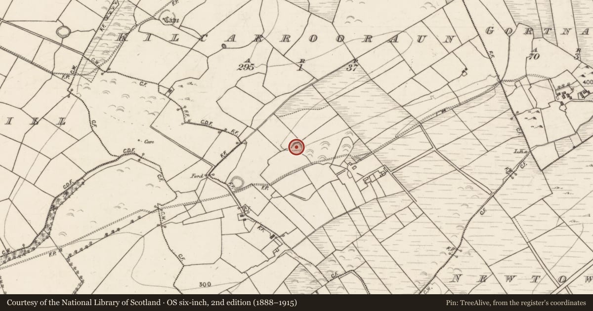 Ordnance Survey six-inch map, 2nd edition (1888–1915) covering the location of Ringfort - rath, Kilcarrooraun, County Galway, with a pin at the register's coordinates