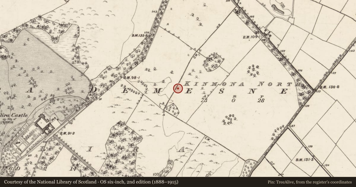 Ordnance Survey six-inch map, 2nd edition (1888–1915) covering the location of Children's burial ground, Kinmona North, County Galway, with a pin at the register's coordinates