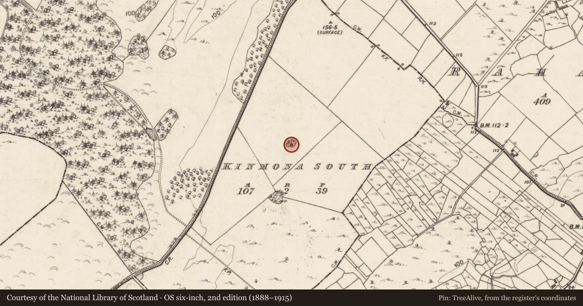 Ordnance Survey six-inch map, 2nd edition (1888–1915) covering the location of Ringfort - rath, Kinmona South, County Galway, with a pin at the register's coordinates