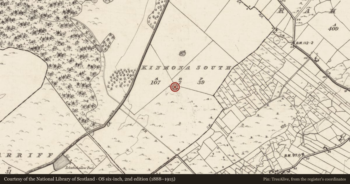 Ordnance Survey six-inch map, 2nd edition (1888–1915) covering the location of Ringfort - rath, Kinmona South, County Galway, with a pin at the register's coordinates