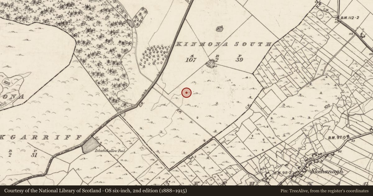Ordnance Survey six-inch map, 2nd edition (1888–1915) covering the location of Enclosure, Kinmona South, County Galway, with a pin at the register's coordinates